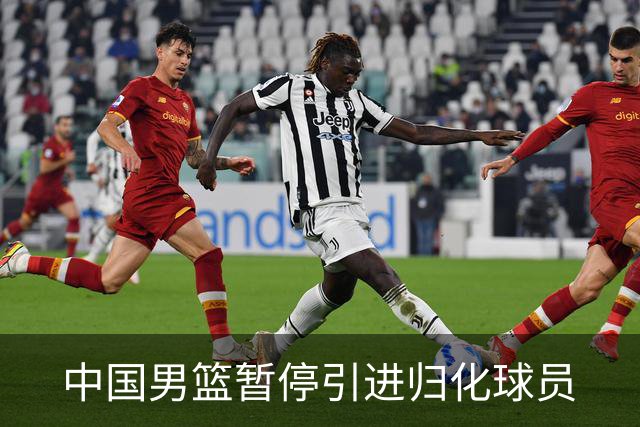 中国男篮暂停引进归化球员